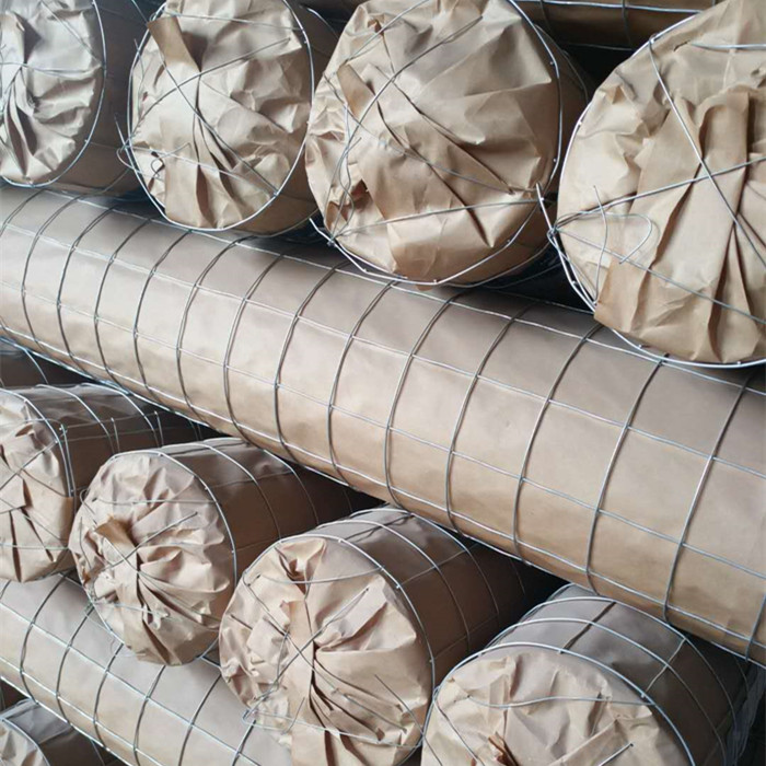 Good Quality Low Price Electro Galvanized Iron Wire - High Quality Welded Wire Mesh Rolls – Fuhai