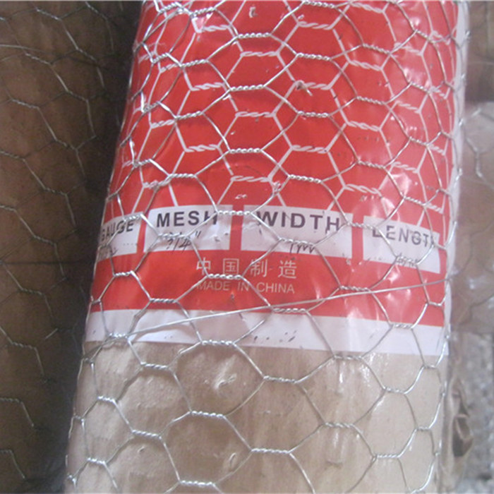 OEM/ODM Manufacturer 1/8 Inch Welded Wire Mesh - Hot-dip Galvanized Hexagonal Wire Mesh – Fuhai