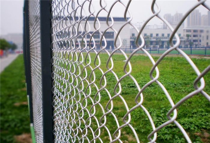 Professional ChinaBlack Annealed Twisted Wire - PVC Coated Chain Link Fence Netting – Fuhai