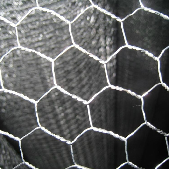 PriceList for Price Razor Wire - 25mmx1mx45m Hexagonal Wire Mesh For Poultry Coop – Fuhai