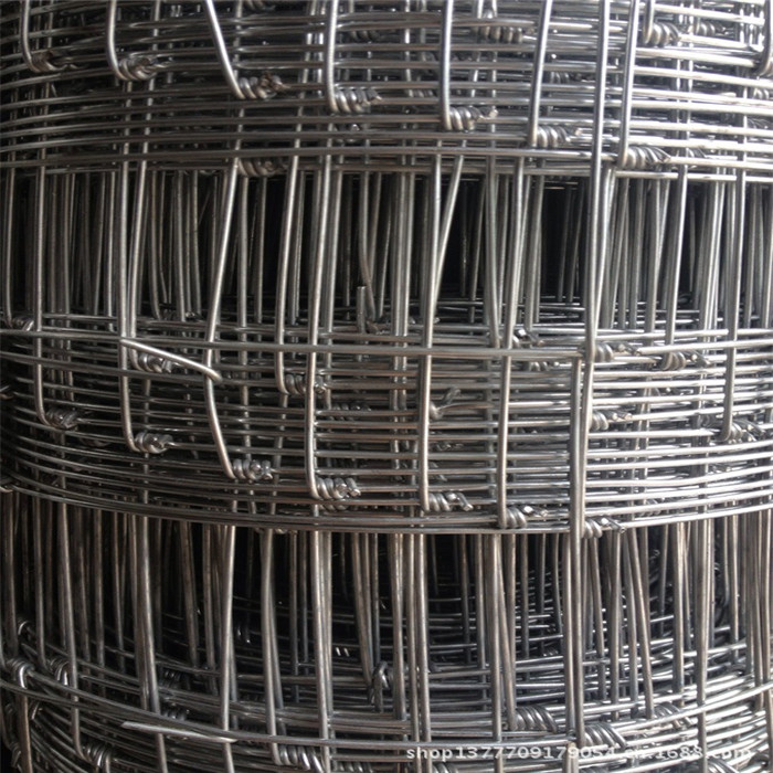 2017 Good Quality Q195 Black Iron Wire - 1.6M*50M Galvanized Steel Wire Kraal Network – Fuhai