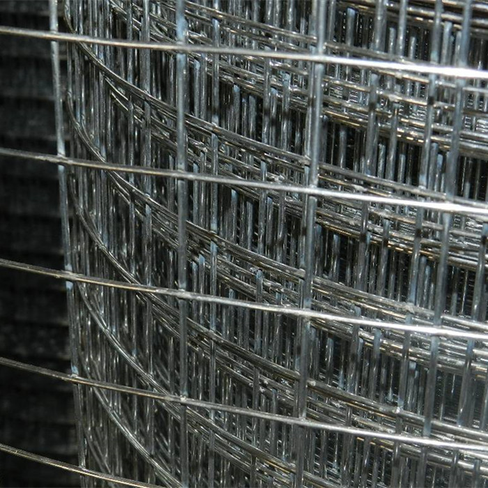 Manufacturer for Garden Fence - 1”X 1” Galvanized Welded Wire Mesh Rolls – Fuhai