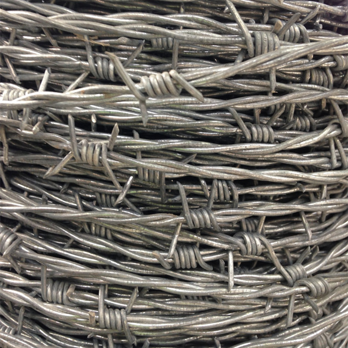 Galvanized Barbed Iron Wire Fencing