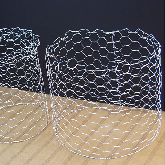 Fast delivery Galvanized Binding Wire - Galvanized Hexagonal Wire Mesh – Fuhai