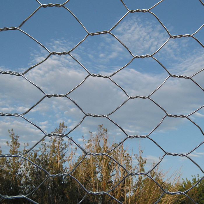 OEM/ODM China Twisted Wire Loop - Hot dipped Galvanized Chicken Wire Mesh – Fuhai