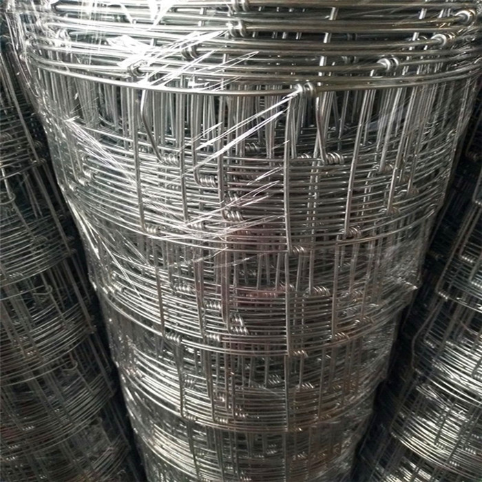 One of Hottest for Chain Link Fence 8ft High - Galvanized Kraal Network For Farm – Fuhai