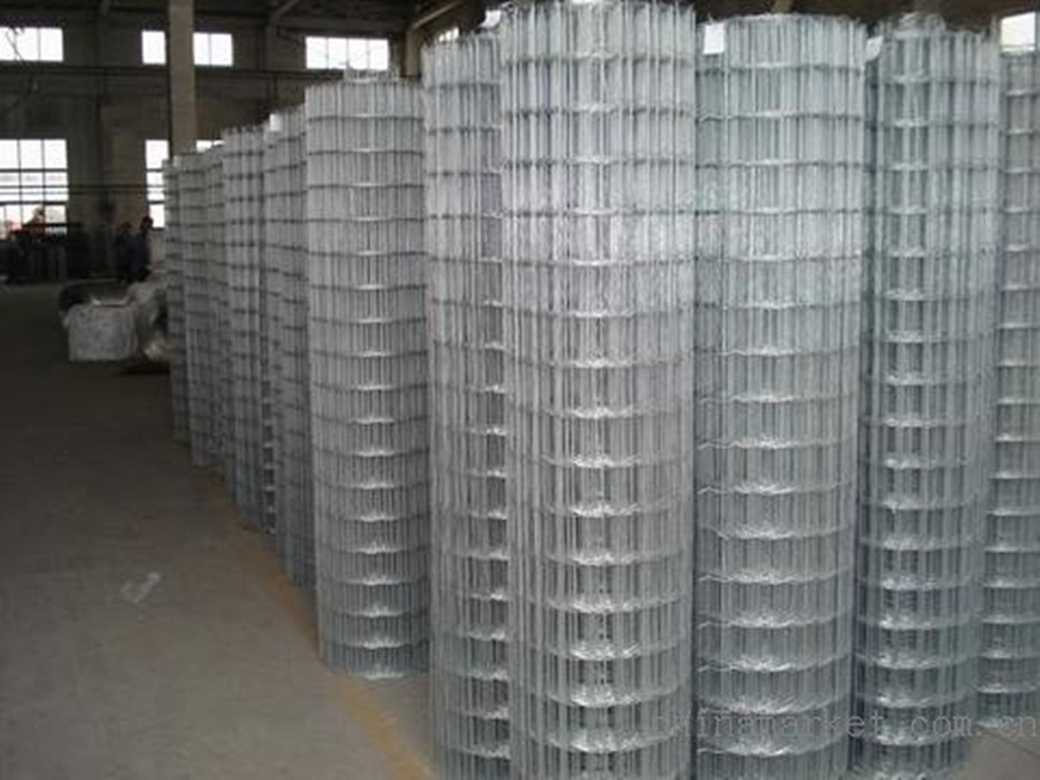 Hot sale Factory Annealed Black Binding Wire - Galvanized Welded Wire Mesh In Rolls – Fuhai