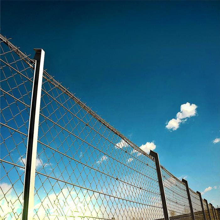 Special Design for High Quality Roofing Nail - Basketball Court Protective Chain Link  Fence – Fuhai detail pictures
