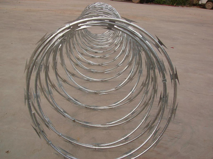 OEM Supply Galvanized Steel Wire Scourer - CBT-65 Hot-dip Galvanized Razor Wire – Fuhai