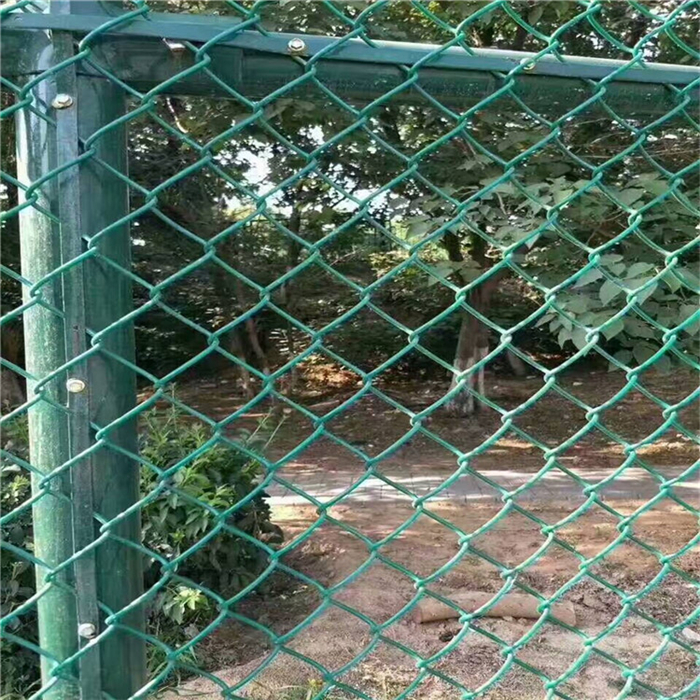 Vinyl Coated Chain Link Mesh Fence