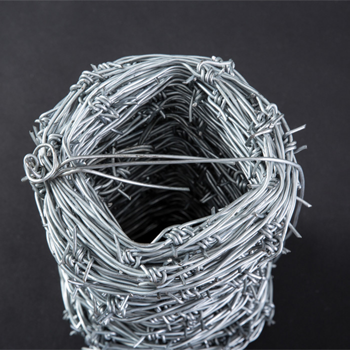 Hot-dip Galvanized Barbed Wire Featured Image