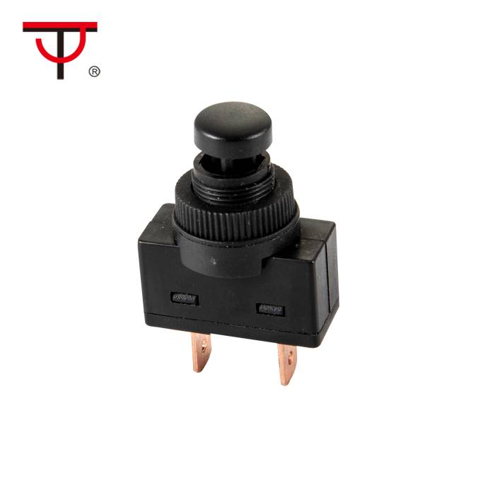 Cheap PriceList for Mini Snap Action Switch - Automotive Switch  ASW-24 – Jietong