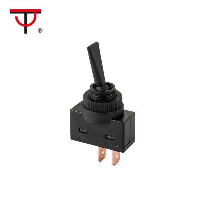 Manufacturer for Electrical Slide Switch - Automotive Switch ASW-26-101 – Jietong