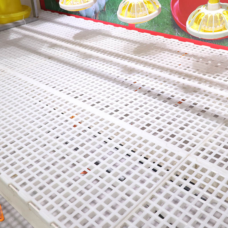Broiler Chicken mesh Slat Floor Poultry Plastic Flooring System For Farm