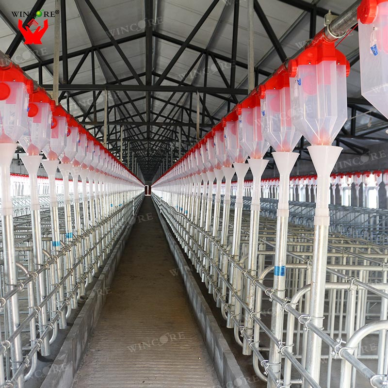 Automatic Pig Farming Equipment Automatic Feeding System Hog Feeders