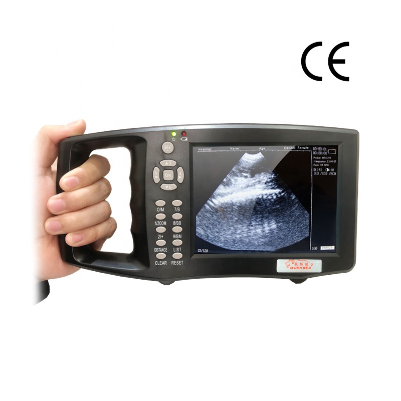 Vet B-Ultrasound