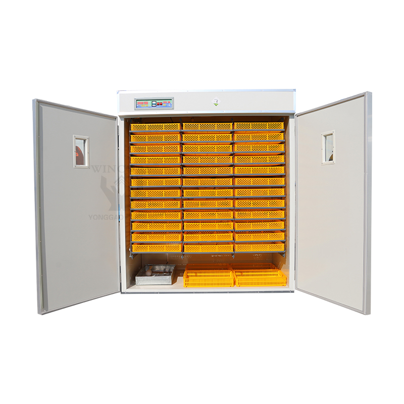 China Manufacturer for Automatic Egg Incubator - Chicken ...