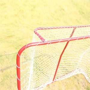 hoki Goal