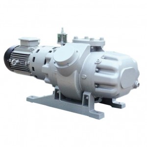 Discount wholesale Bottled Water Production Line - Roots Vacuum Pump – Joysun