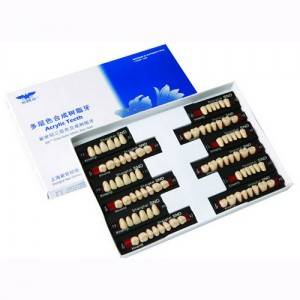 Dental Disposable Multi Layer Synthetic Resin Teeth (Two/Three Layer)