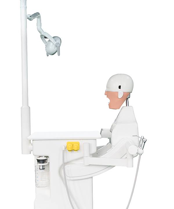 Стоматологиялық жаттығуларға арналған жоғары сапалы стоматологиялық оқыту симуляторы