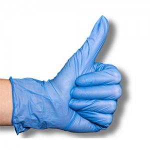 Disposable Blue Vinyl Gloves Powder Free