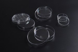 placa de Petri