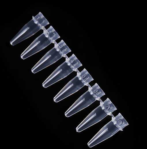 PCR Strips Sterile DNA/RNA FREE Featured Image