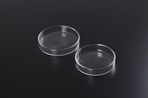 1177 piatto di vetro Petri uso in laboratorio 60 millimetri