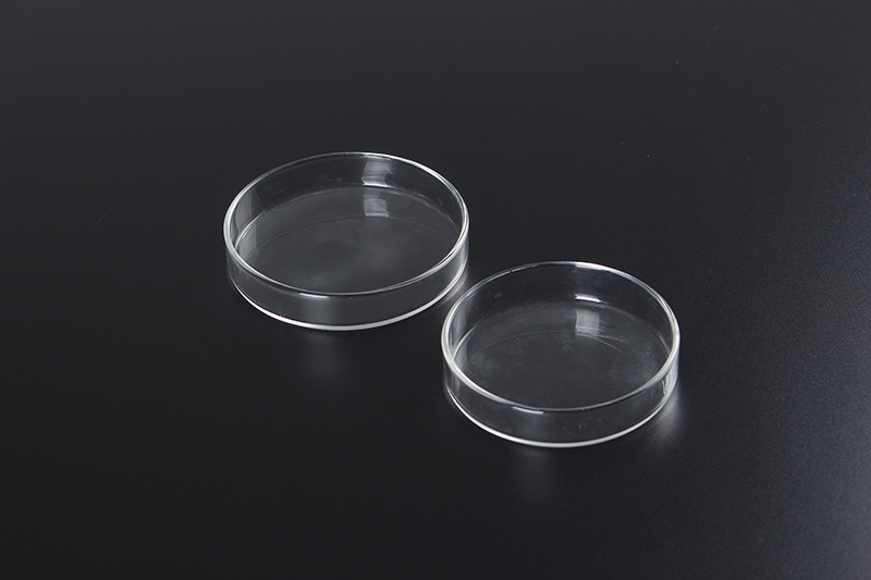 Leading Manufacturer for Medical Cap -
 ODM Factory Clear Borosilicate Glass Sterile 100mm Petri Dish for Microscopy – Huida