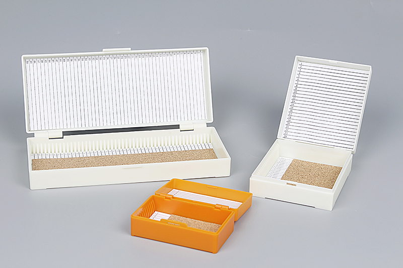 Popular Design for Test Tube With Rim Plain - Lab Plastic Medical Microscope Glass Slide Storage Box For 12pcs 25pcs 50pcs 100pcs Slides – Huida
