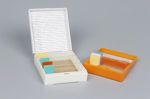 Lab Plastic Medical Microscope Glass Slide Storage Box For 12pcs 25pcs 50pcs 100pcs Slides