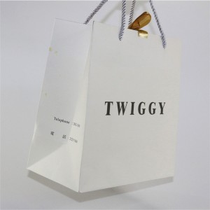 Professional Factory Produced hot foil texture luxury paper bag