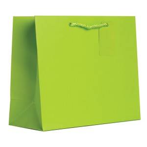 Basic Color Custom Paper Bag with Rope handle
