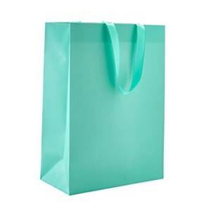 Lamination Paper Shopping Bag With Handle