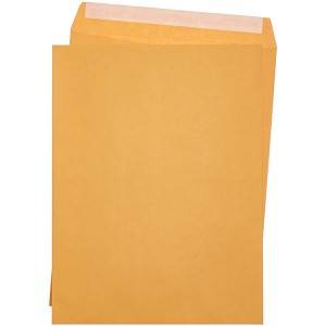 Brown Kraft Catalog Envelope foar Business mei Peel en Seal Flap