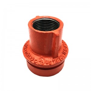 Pipe Fittings and Couplings Pipe Threaded Outlet Adaptor Flange Picture Show