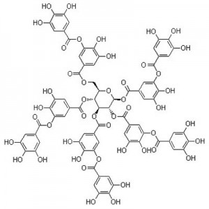 TANNIC acid e Technical sehlopheng 