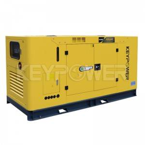 60Hz Silent Diesel Generator Sets with Genset Controller to South Africa