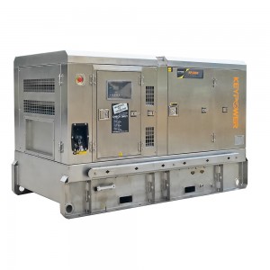 60kva cummins diesel generator Stainless steel canopy special designed for coastal area and other high humidity environment