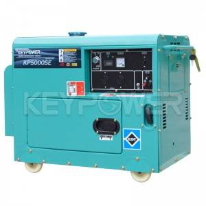 OEM/ODM Supplier Bison (China) BS2500dce (H) 2kw 2kVA Electirc Start Copper Wire Diesel Generator Price for Malaysia