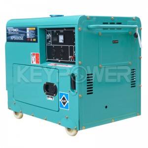 OEM/ODM Supplier Bison (China) BS2500dce (H) 2kw 2kVA Electirc Start Copper Wire Diesel Generator Price for Malaysia