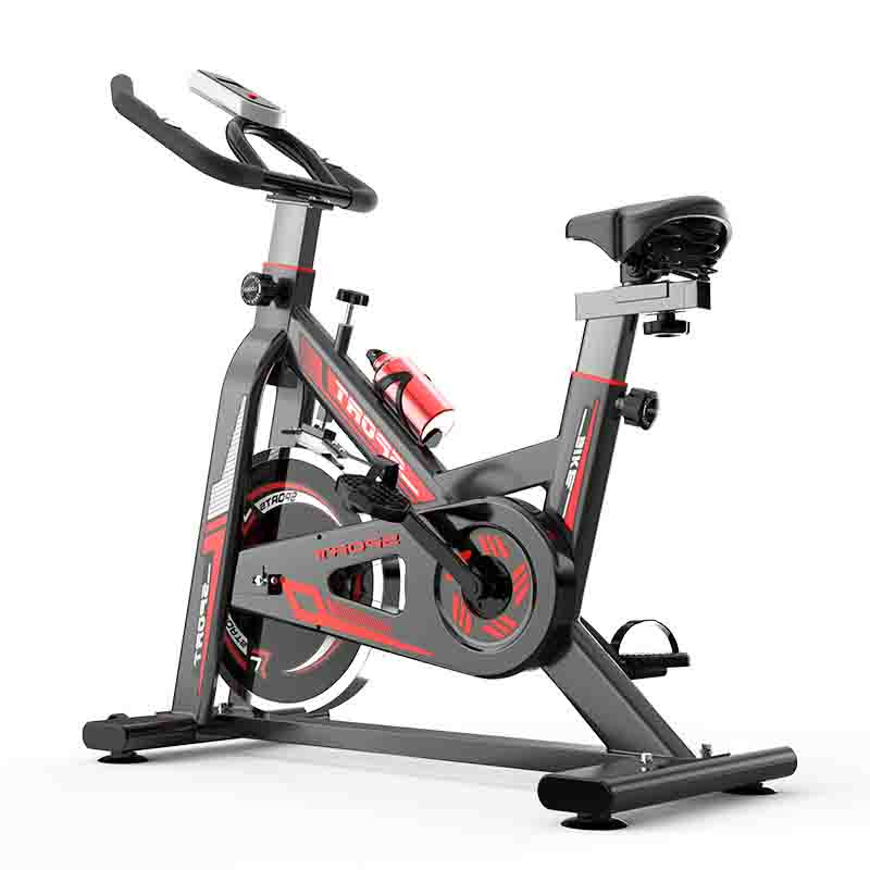 Custom Indoor Slimming Spinning Bike Silent Weight Loss Gym fitness Equipment Portable Cycling Bike