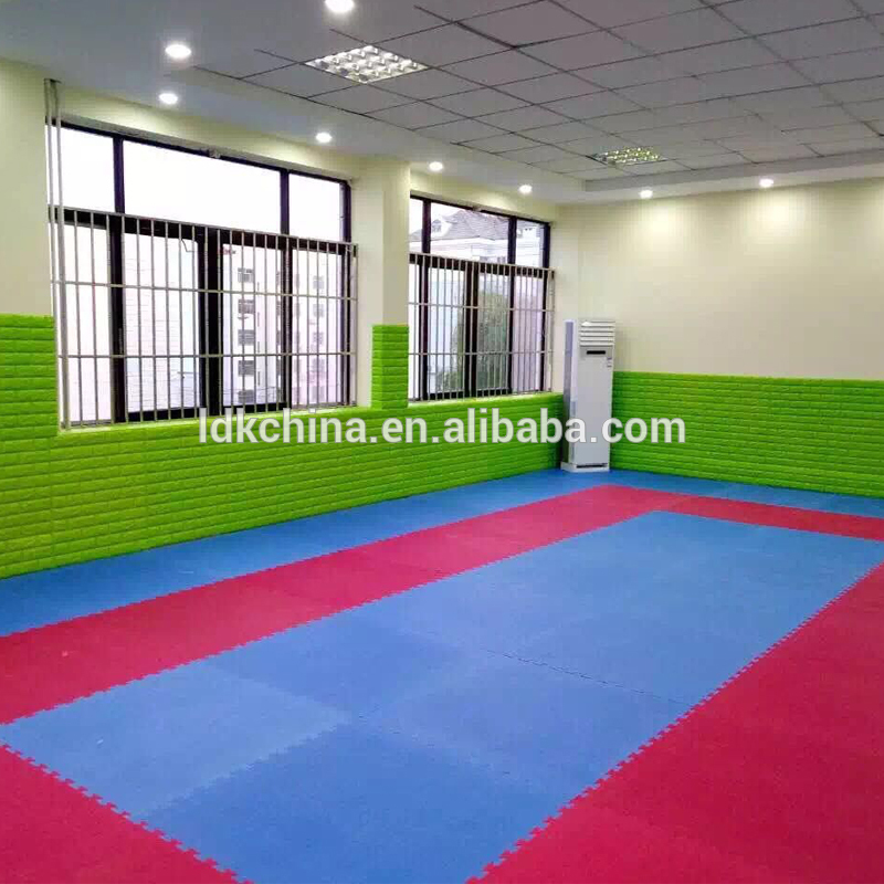 HTB1J6KkOVXXXXXKXXXXq6xXFXXXcSports-equipment-taekwondo-floor-mats