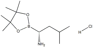 CAS:1243174-57-3 | (R)-3-Methyl-1-(4,4,5,5-tetraMethyl-1,3,2-dioxaborolan-2-yl)butan-1-aMine hydrochloride | C11H25BClNO2 Featured Image