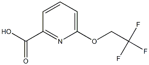 CAS:1247503-48-5 | 6-(2,2,2-Trifluoroethoxy)pyridine-2-carboxylic acid | C8H6F3NO3
