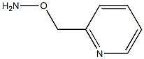 CAS:37756-48-2 |O-(pyridin-2-ylMethyl)hydroxylaMine