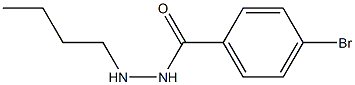 CAS:537672-41-6 | 4-bromo-N’-butylbenzohydrazide