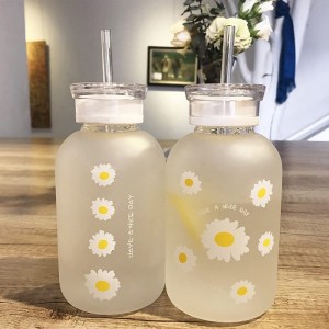 480ml Milk Juice Cute Water Bottle with Scale 2 Lids Little daisy Matte Portable Transparent Water Cup Glass Bottles