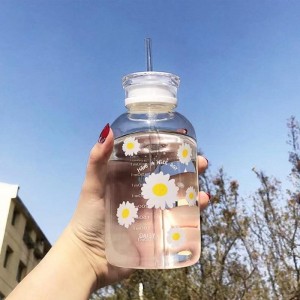 480ml Milk Juice Cute Water Bottle with Scale 2 Lids Little daisy Matte Portable Transparent Water Cup Glass Bottles